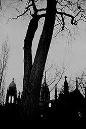 Trinity college - Toronto