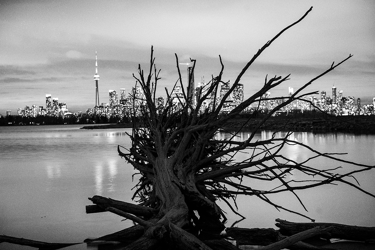 The Toronto Skyline from Tommy Thompson Park