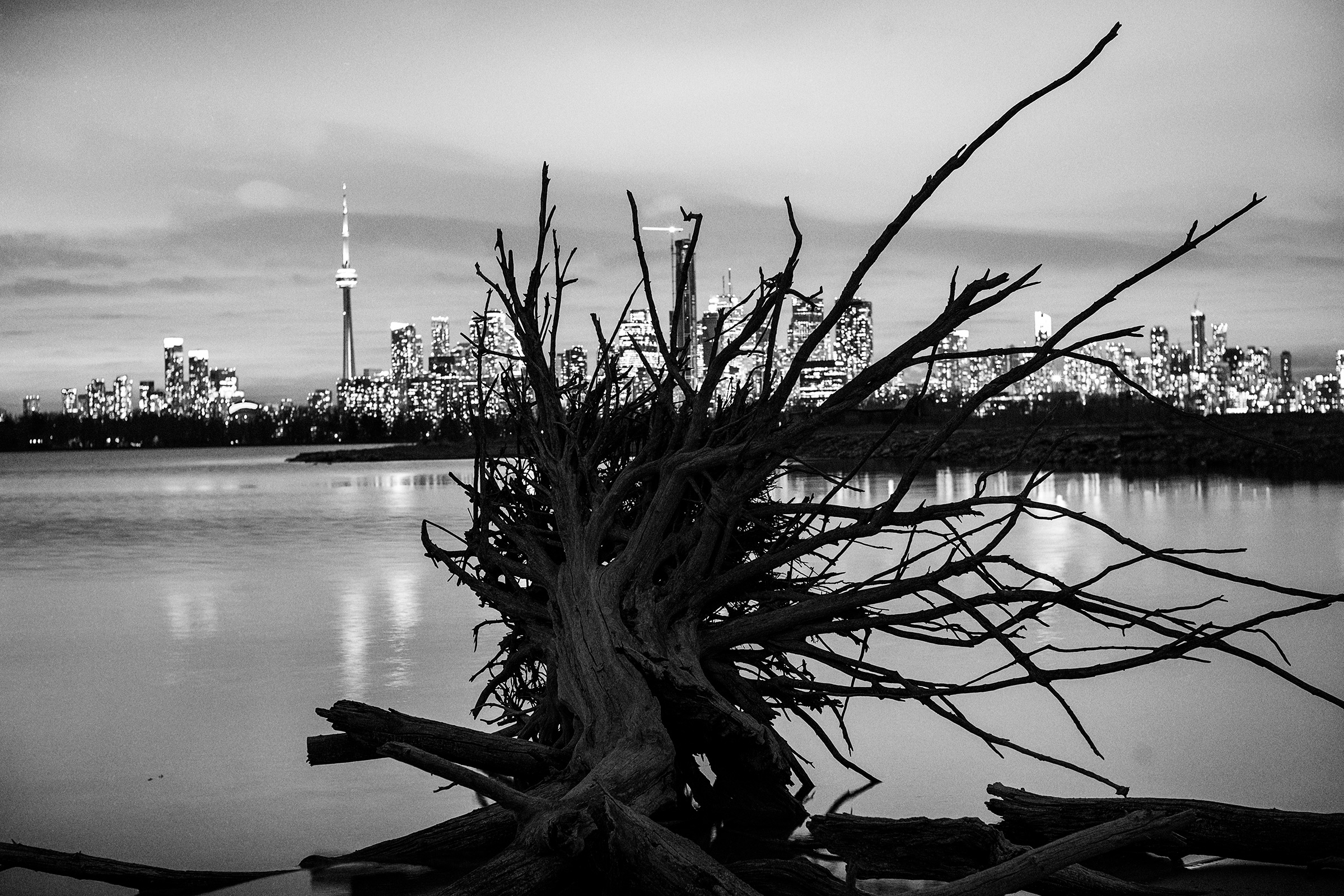 The Skyline of Toronto from Tommy Thompson Park