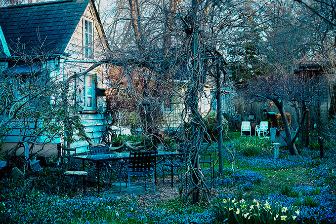 Early spring on Toronto Islands with a garden full of flowers